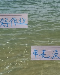 开云官网-申花还是没抄好隔壁作业！ 海港从不担心外援回国打比赛事情